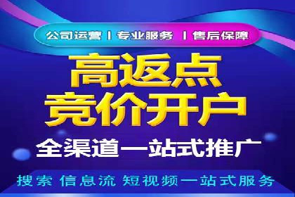 SEM托管服务，成功案例分享转化秘诀